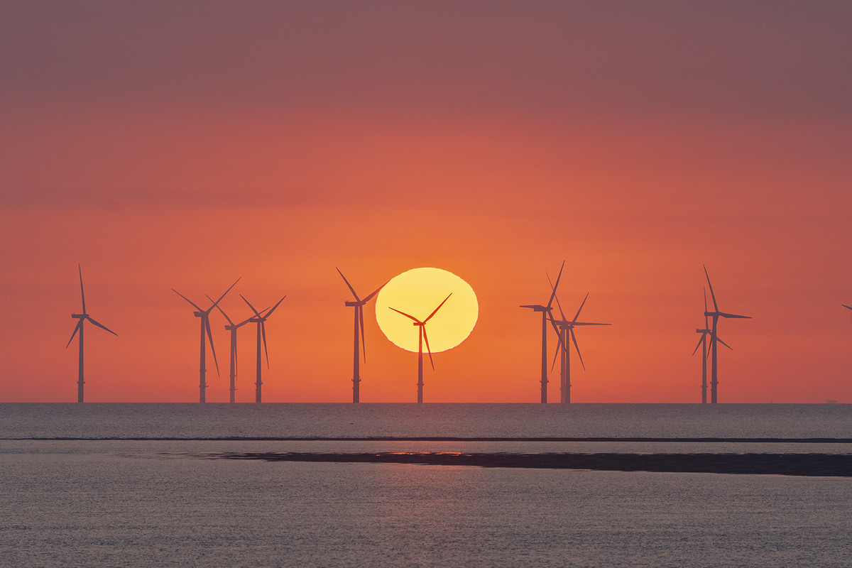 Sunset Sentinels