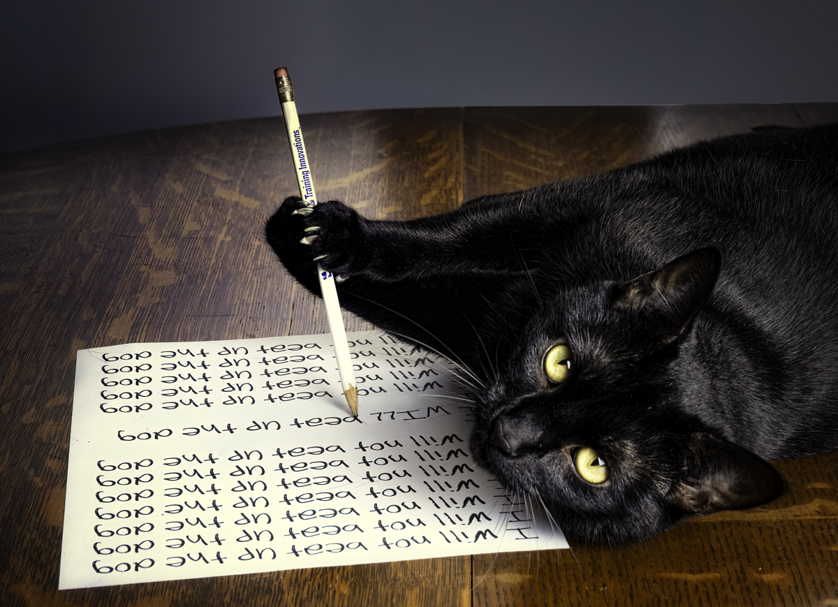 Purrjury