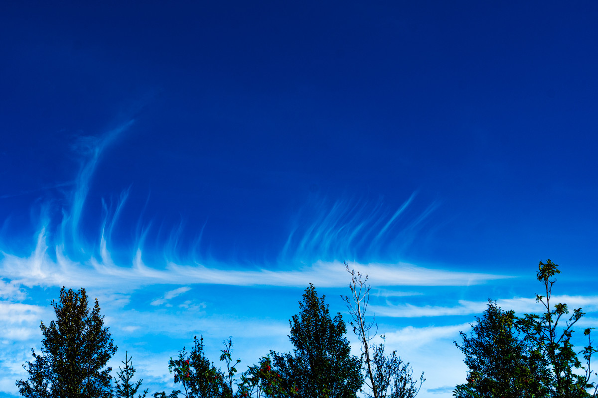 cirrus clouds