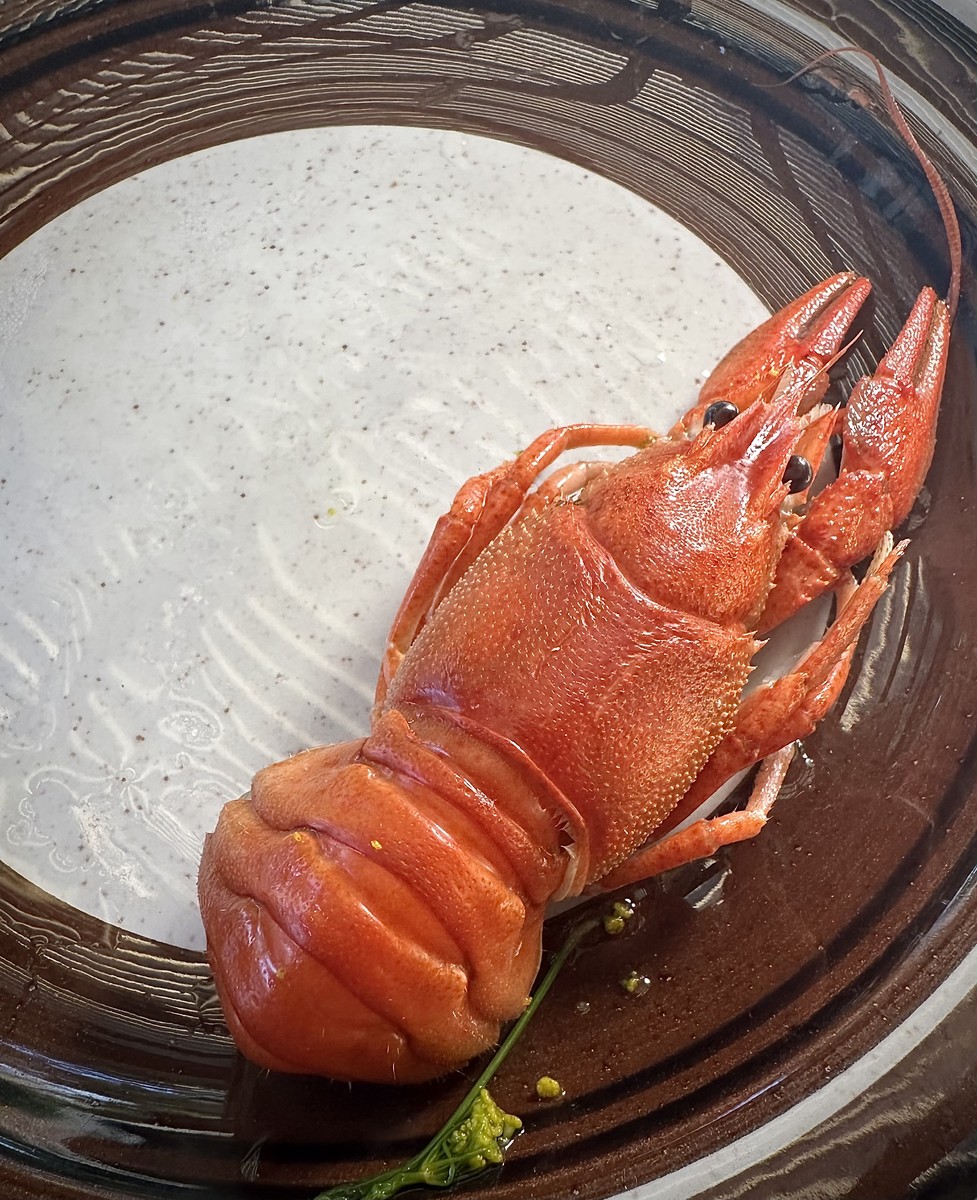 A delicacy