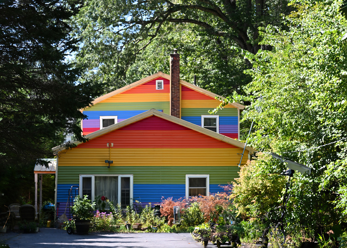 Bold colors bold choice