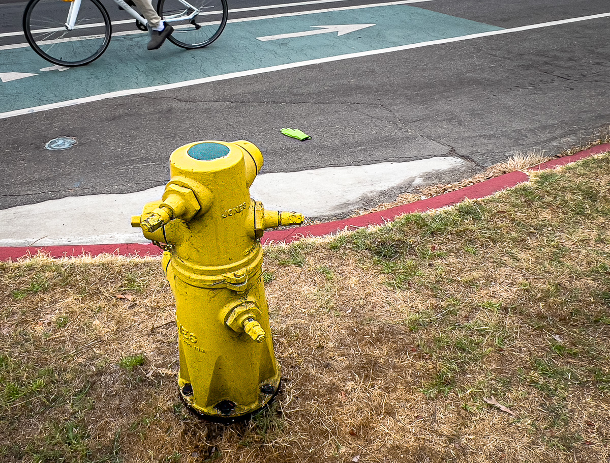 The Hydrant Knows