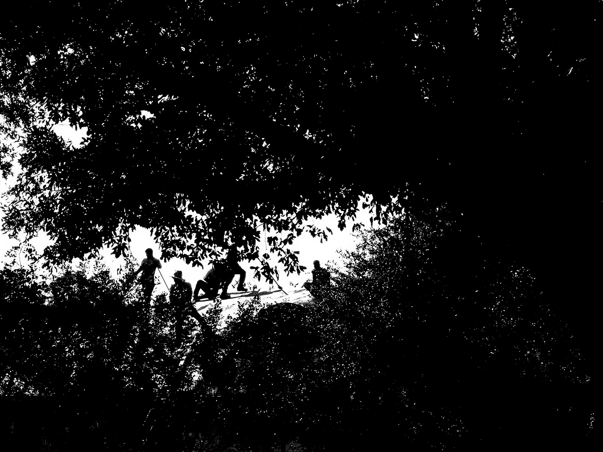 dark heights