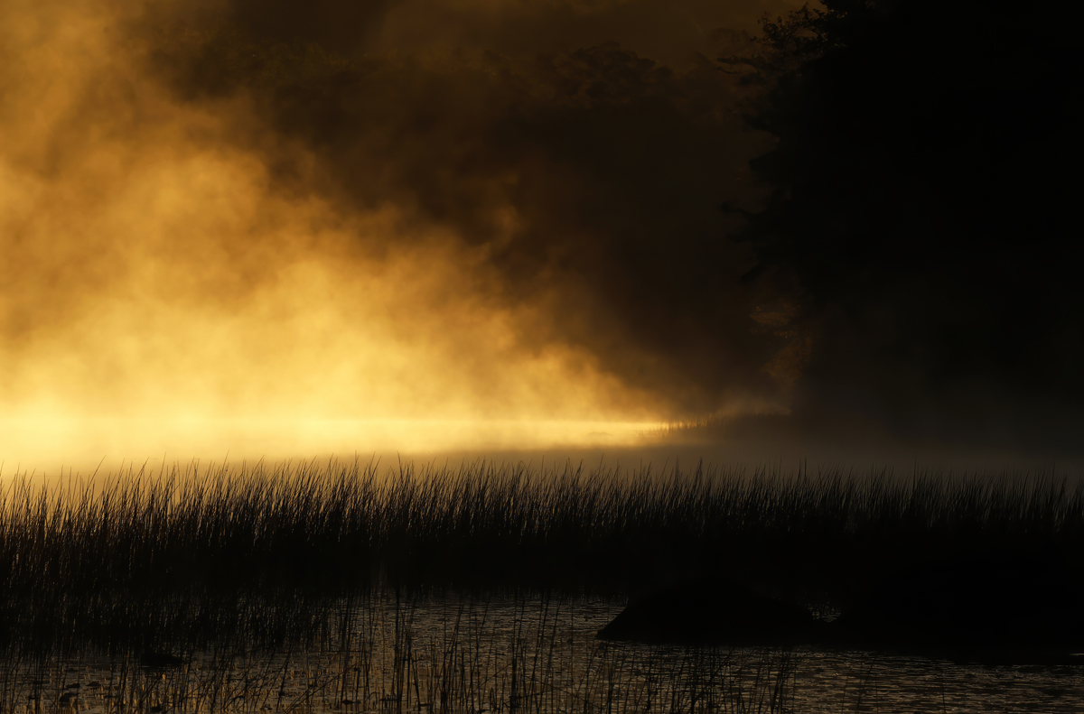 Shadows and light