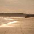 Beach Walker
