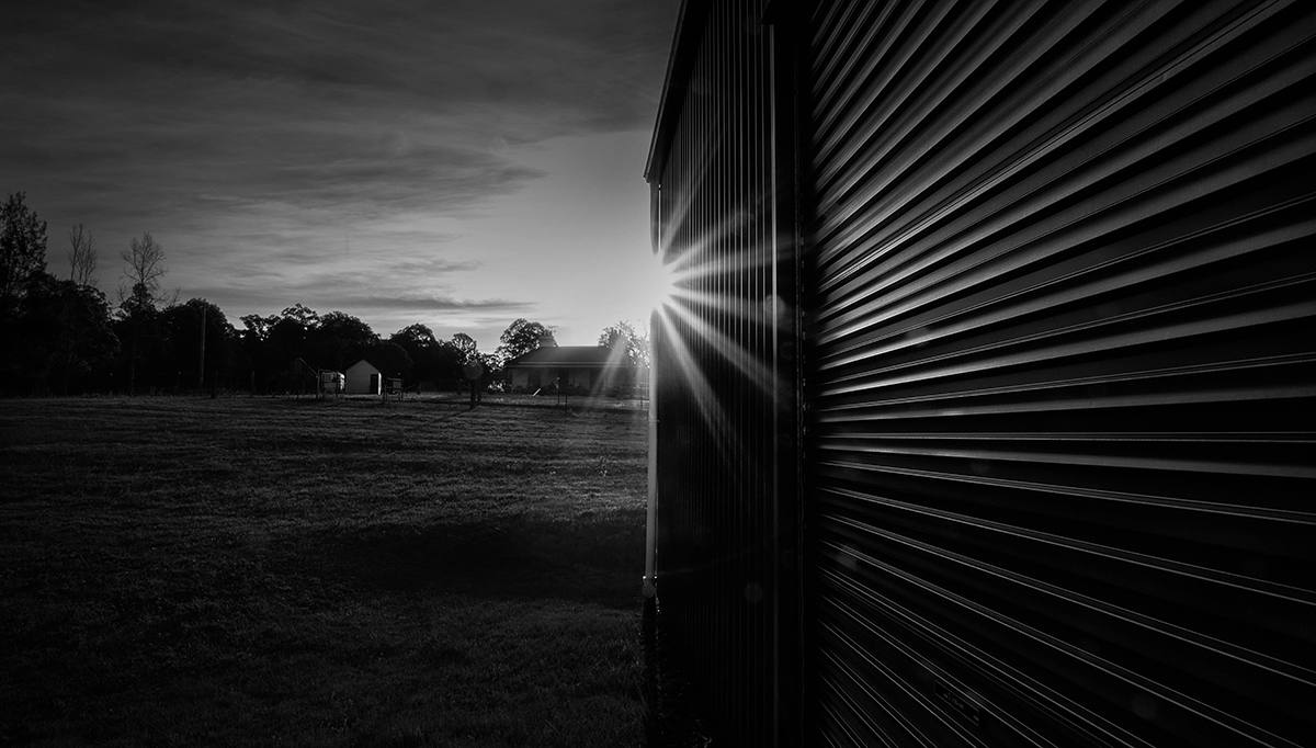 the shed
