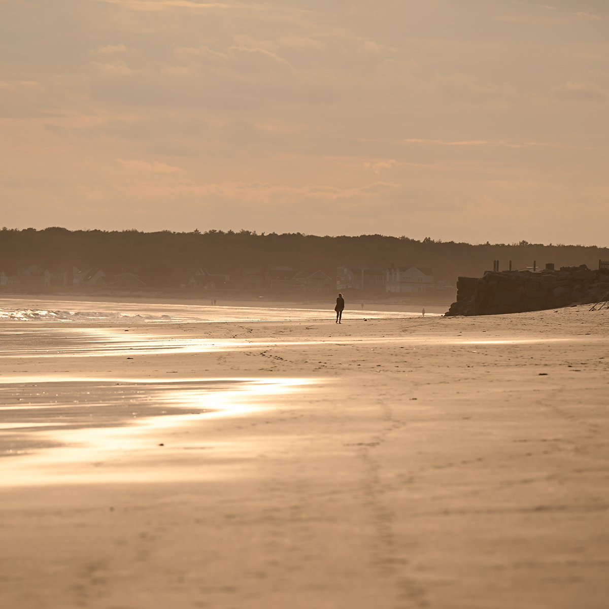 Beach Walker