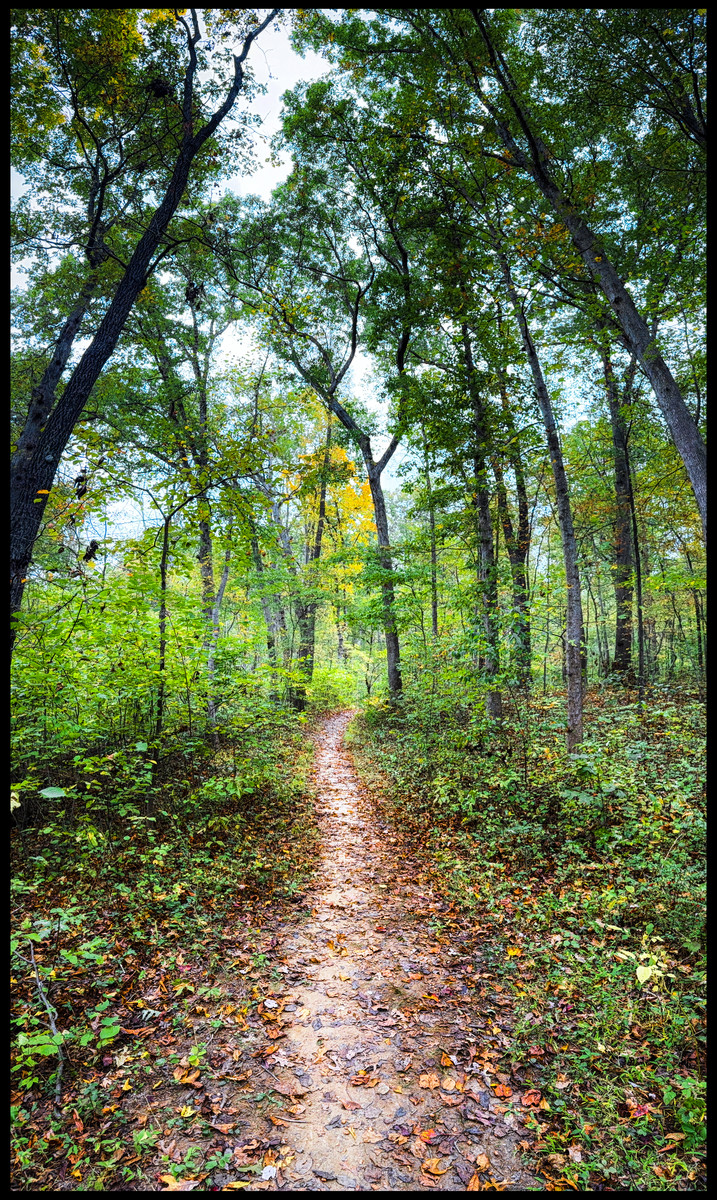 Approaching Autumn