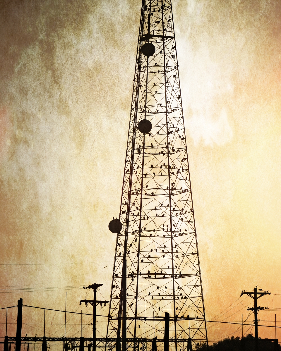 Shared Bandwidth