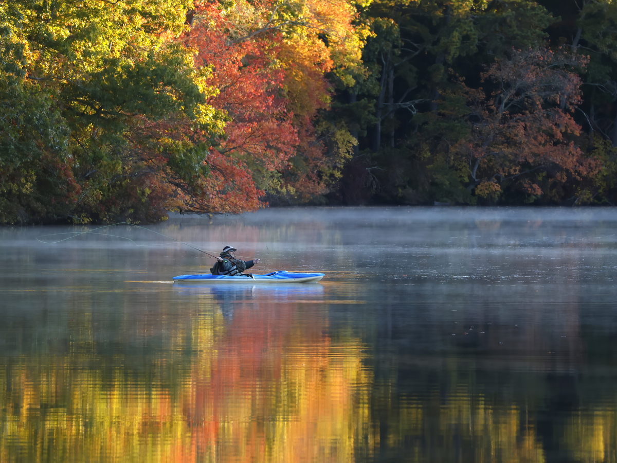 Fly fishing