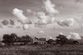 Homestead