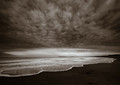 the scalloped sea