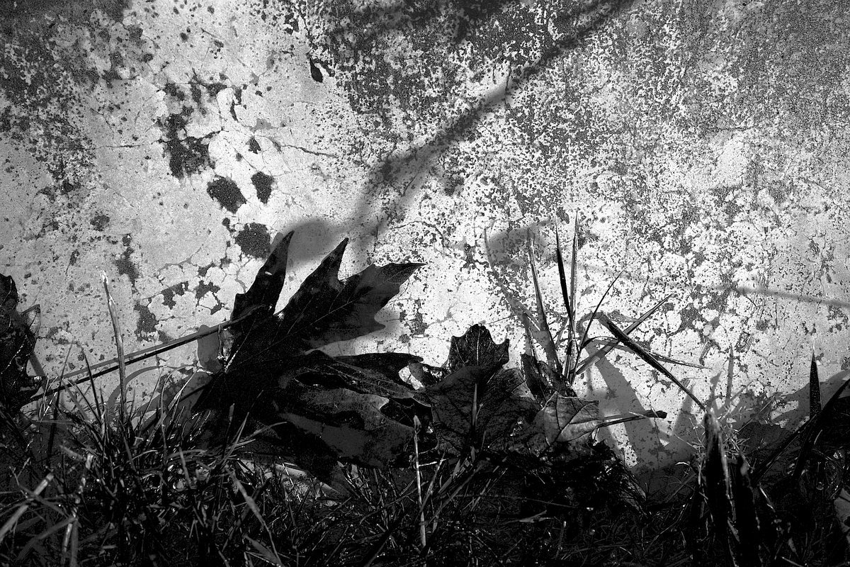 debris