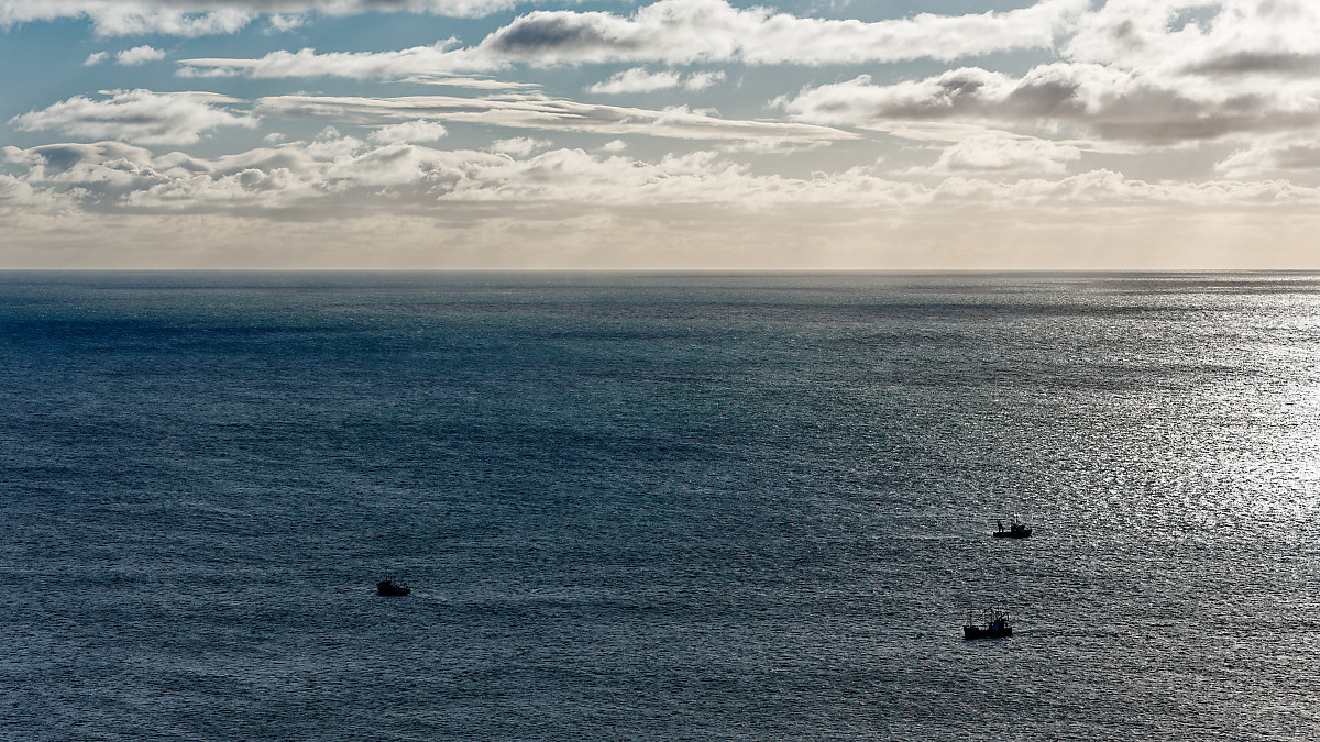 Trawler trio