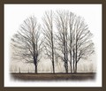 Hibernal