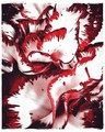 Ruby-Fringed