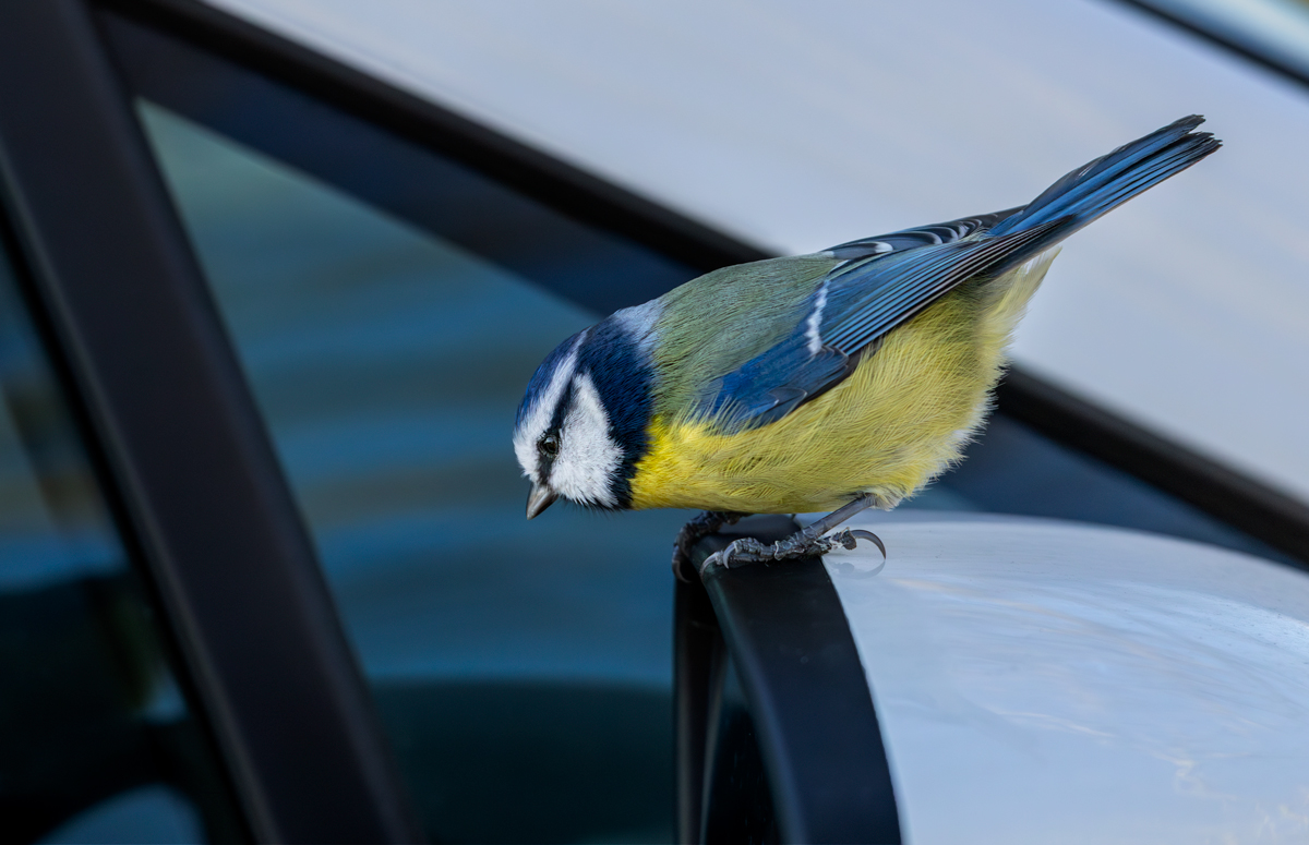 Looking over the edge