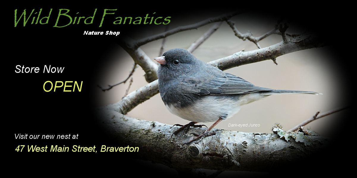 Wild Bird Fanatics