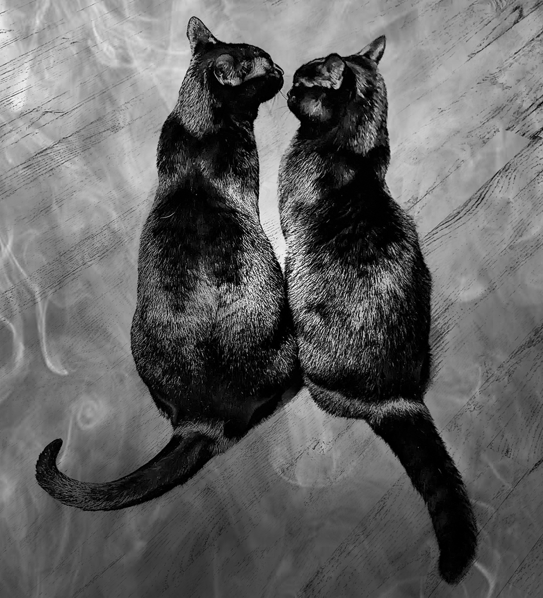You're in my Space