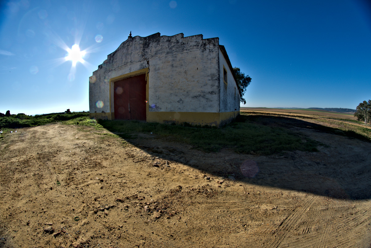 Barn on landscape. Winter morning