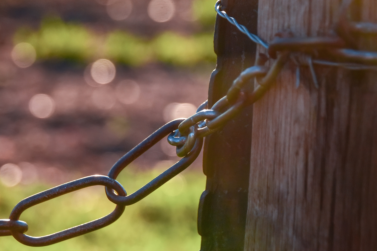 Chain