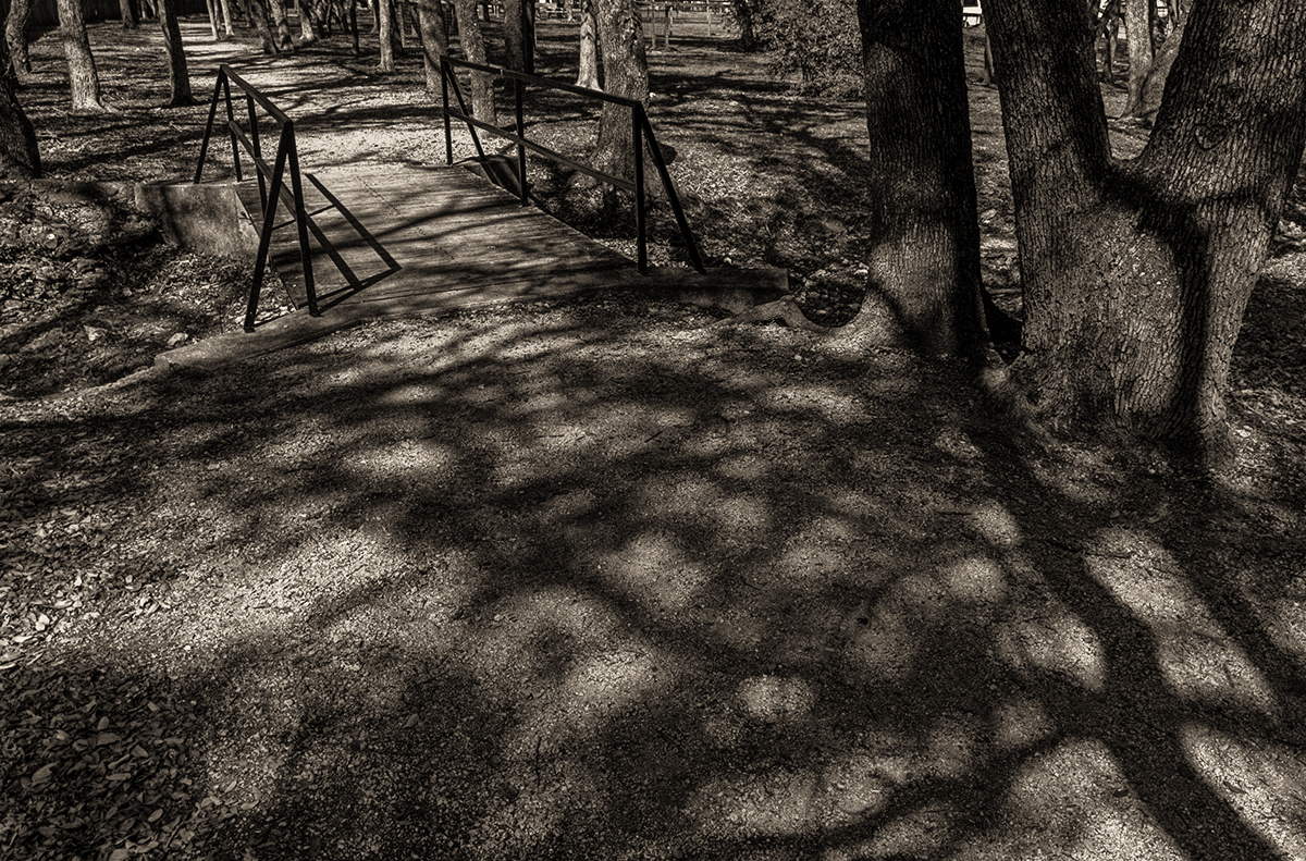 well worn path