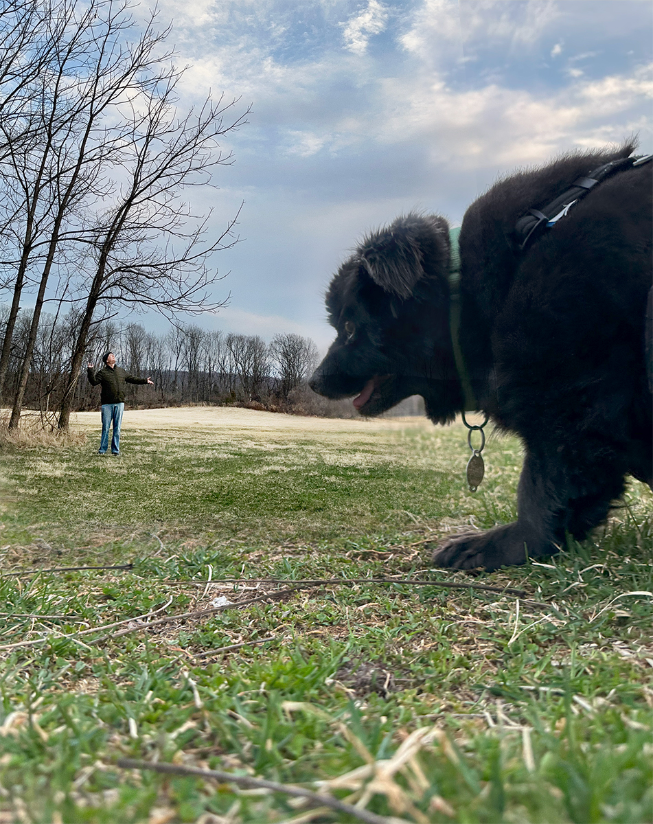 A Boy and his Dog