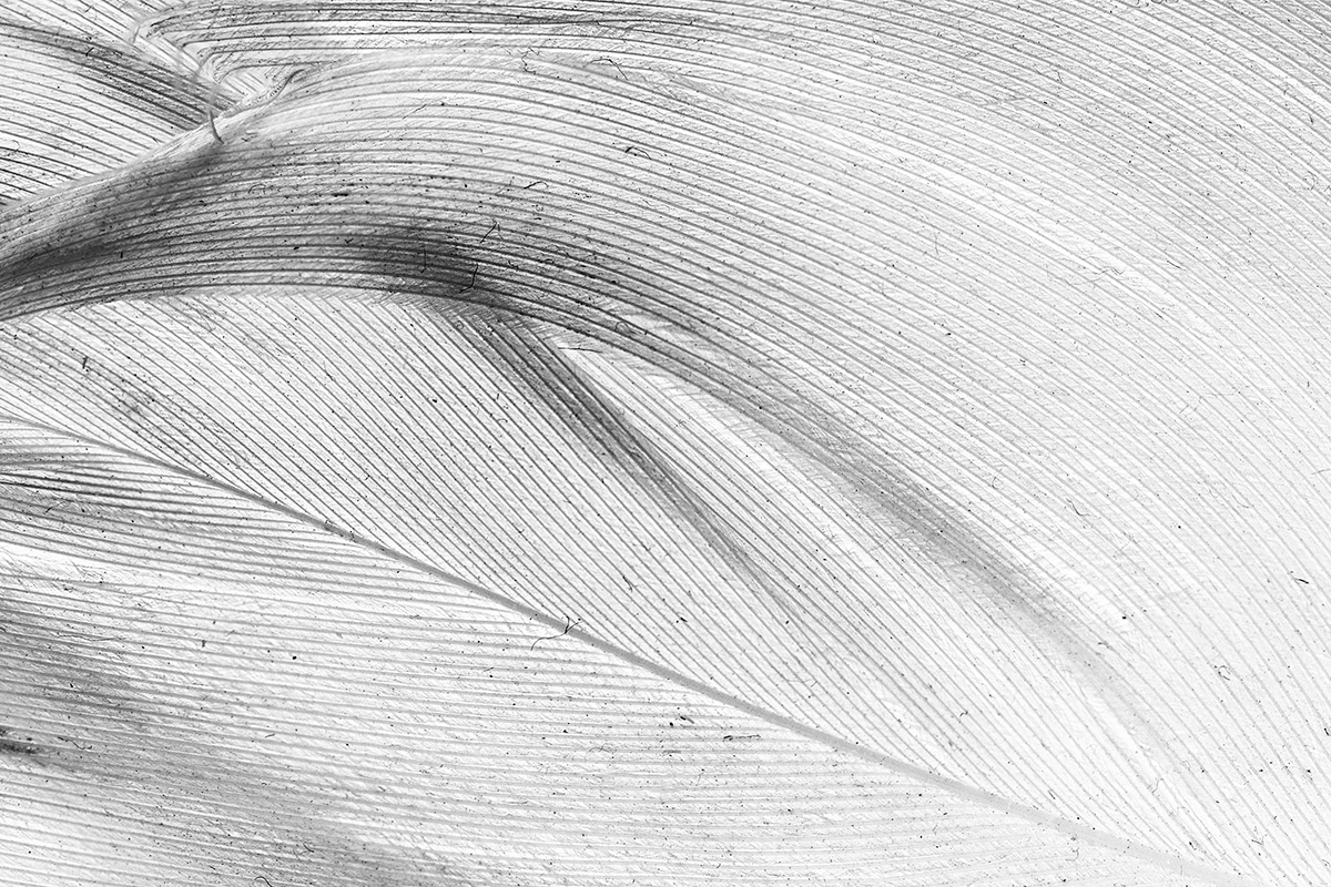A dusty detail