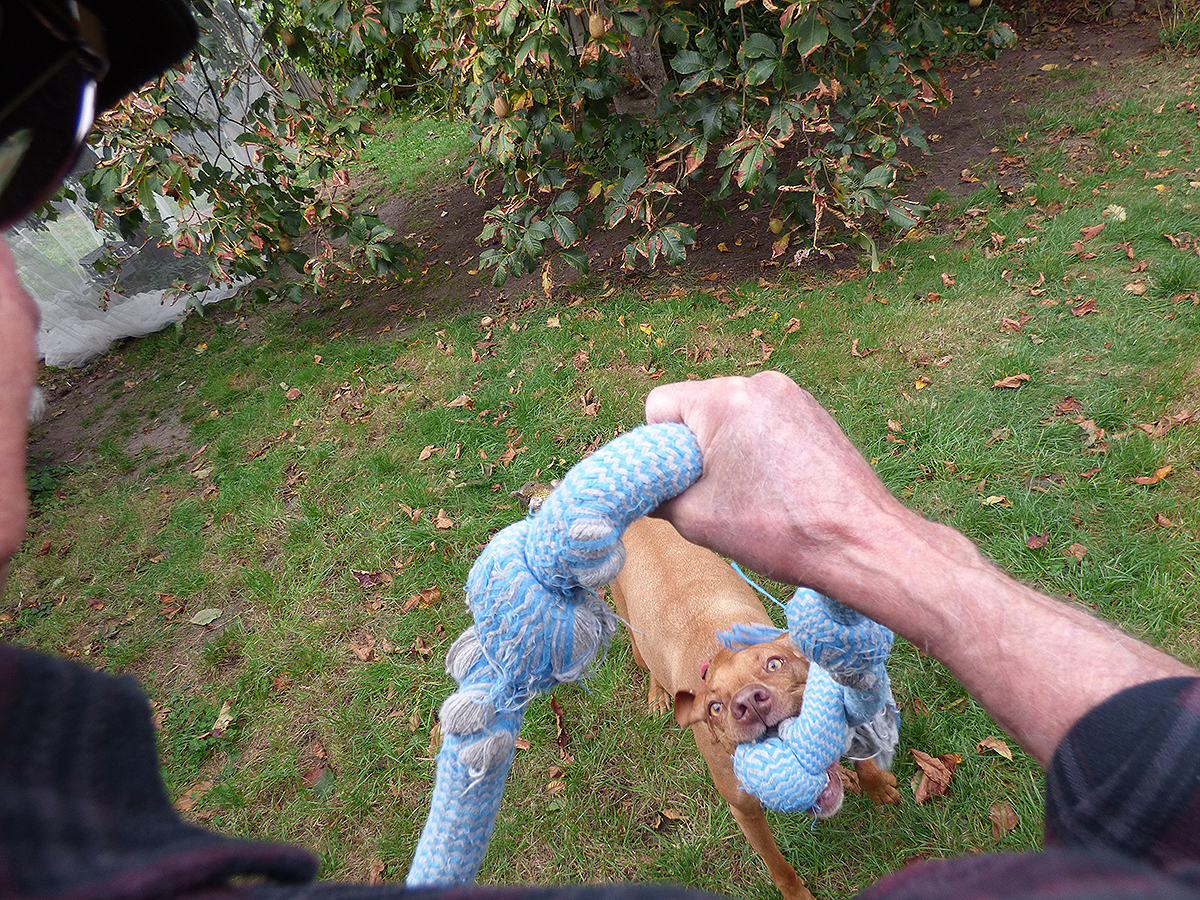 The Rope Game