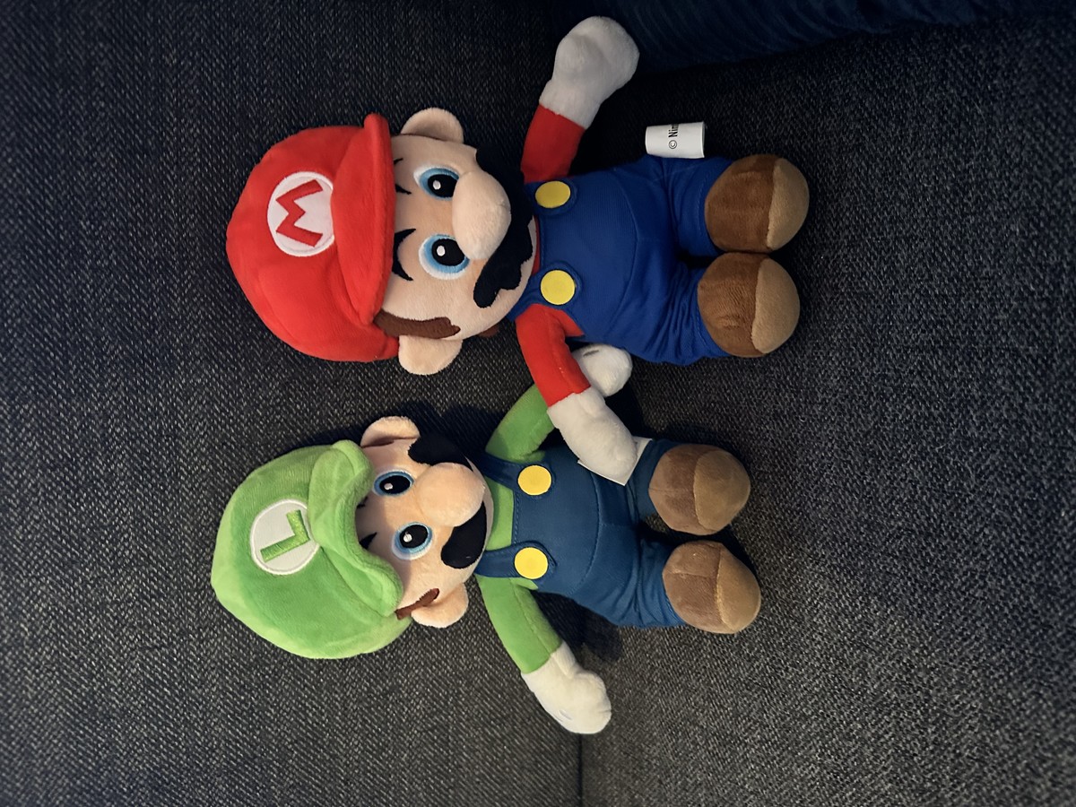 The only game I've completed all the worlds in. (These are my Grandchilds)
