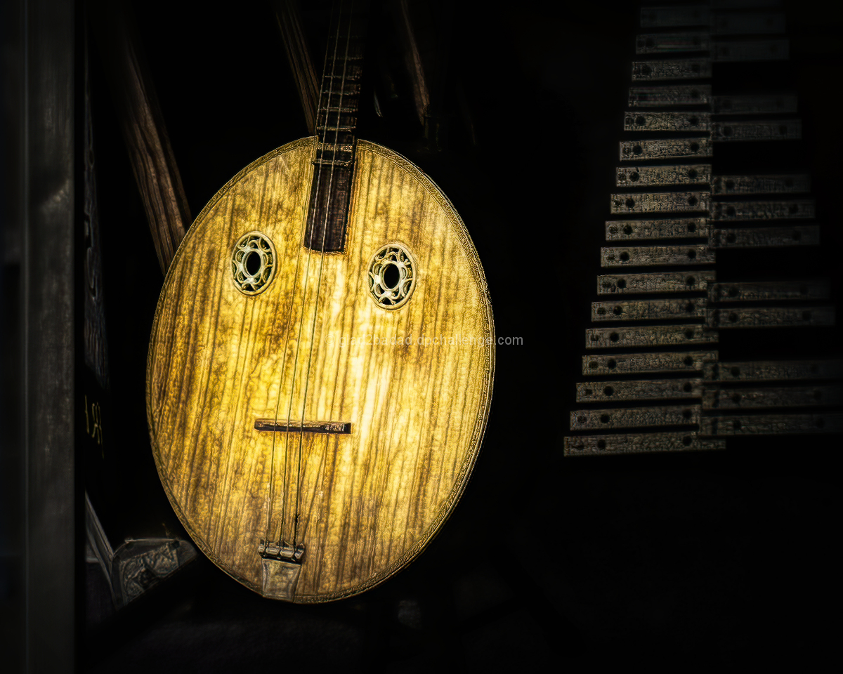 Musically Inclined