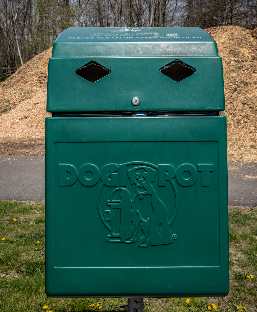 OOP'S.. POOP'S 