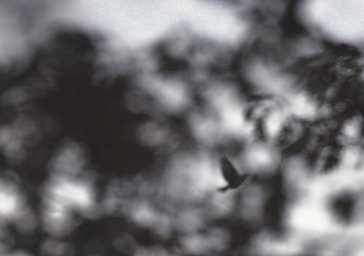 Ephemera