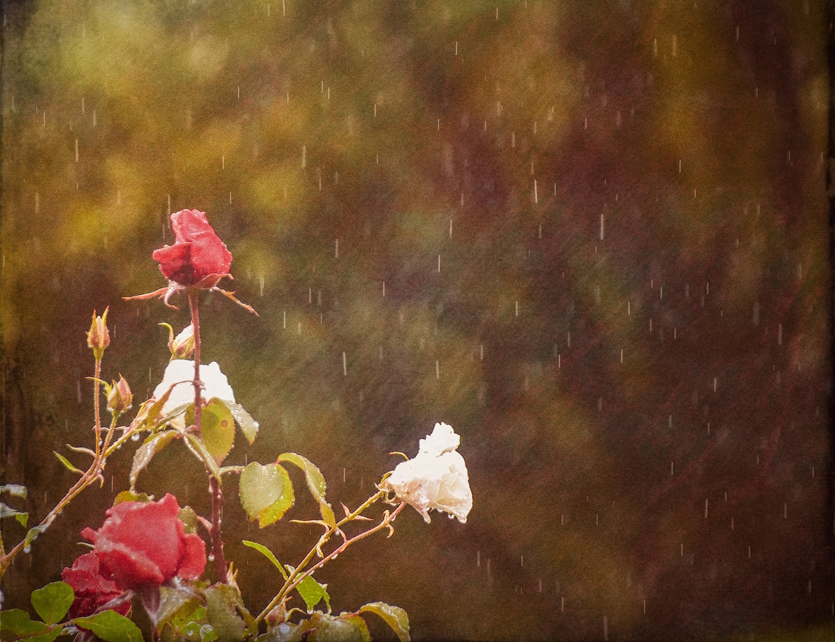 Heavy rain