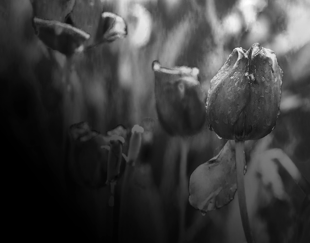 may shower