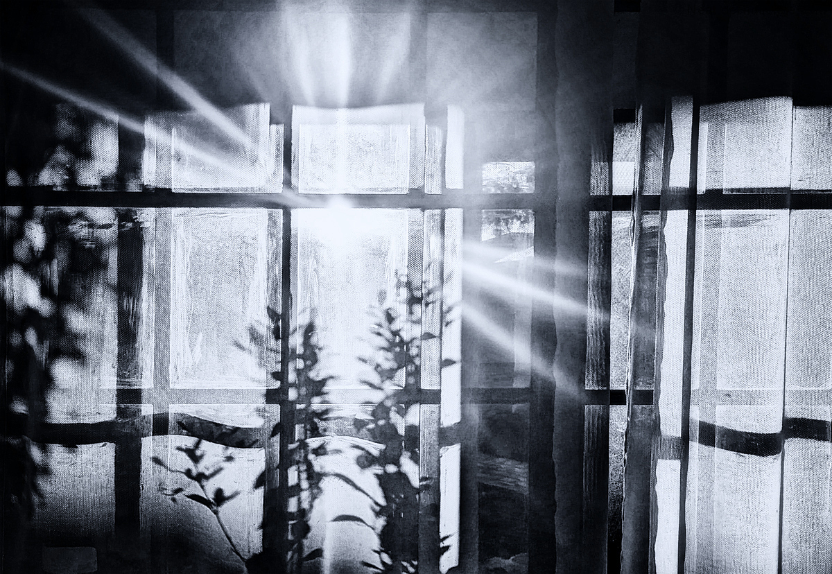 The light streams through