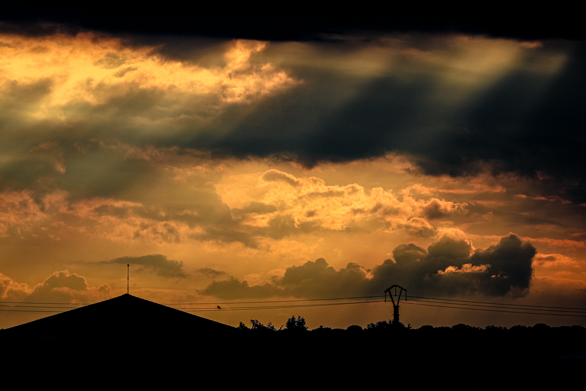 evening
