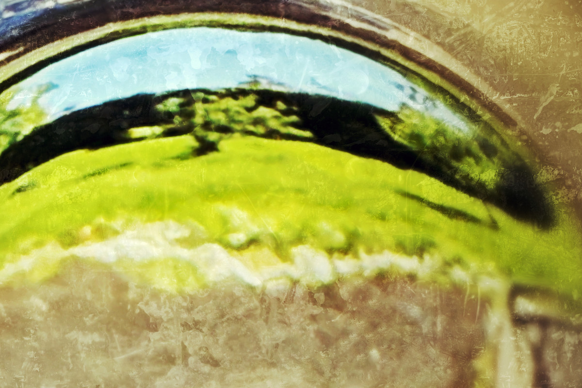 Life through a lens