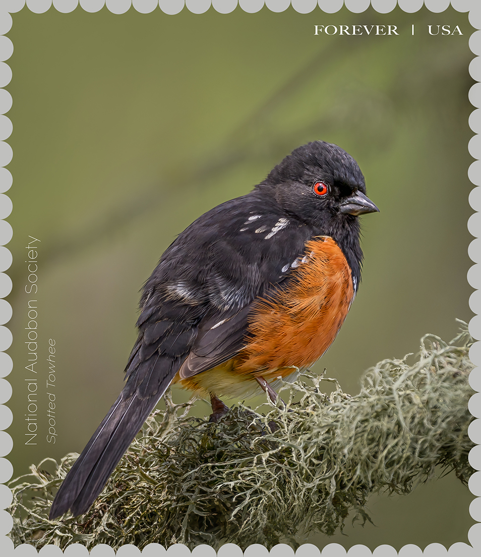 Audubon Society