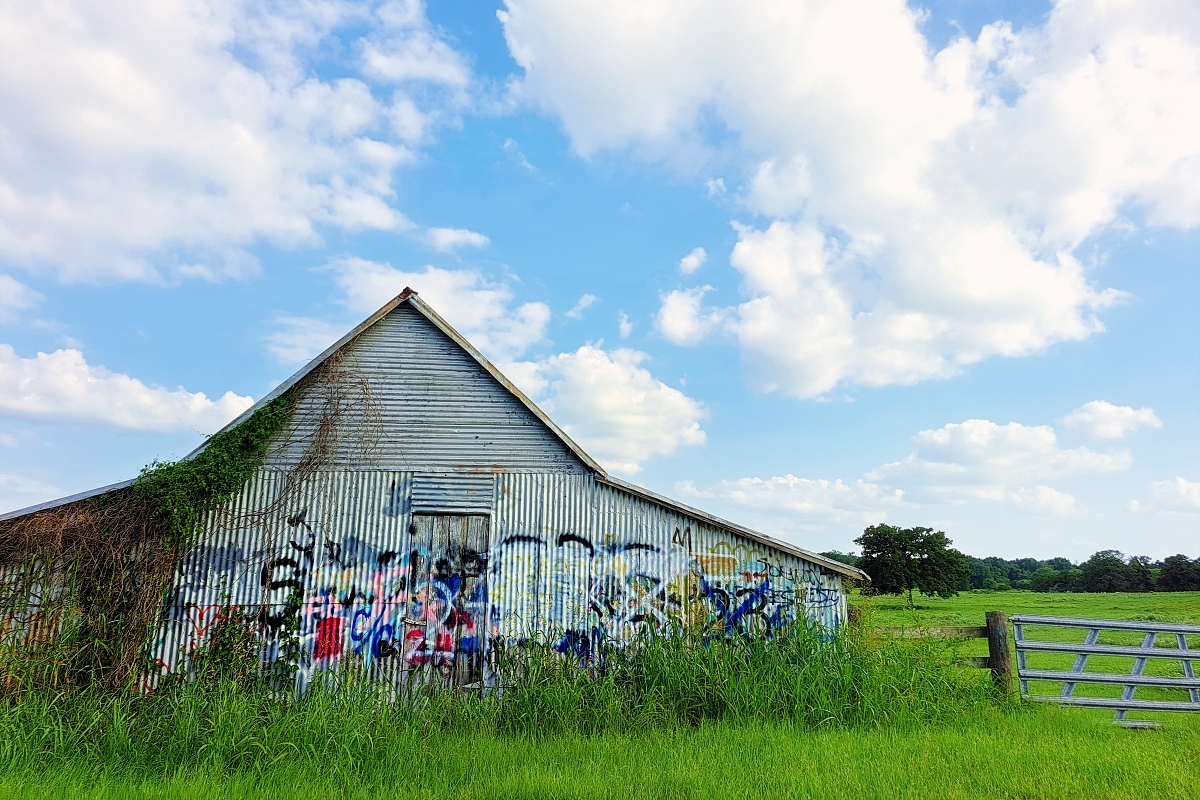 Oddly Pastoral