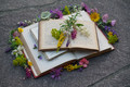 Seeds of wisdom sleep between book pages