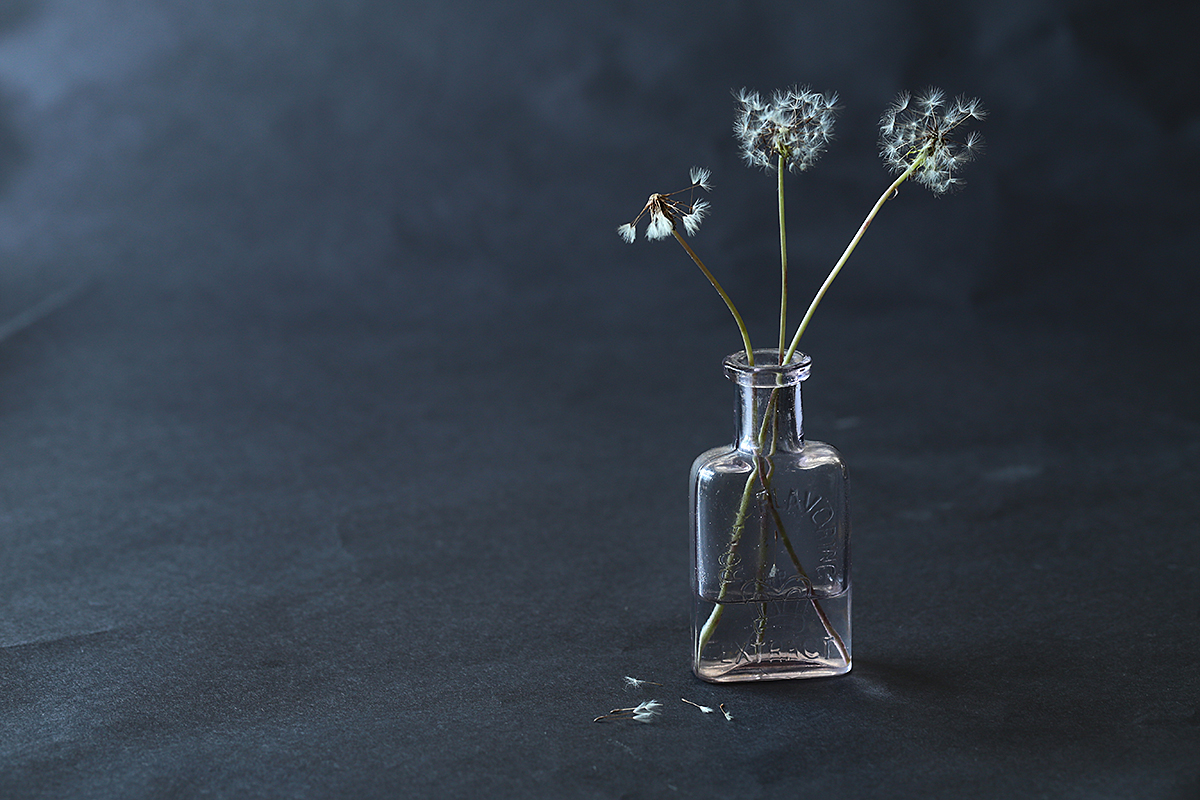 Jar of Dandelion Puffs