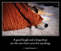 A good laugh and a long sleep are the two best cures for anything.