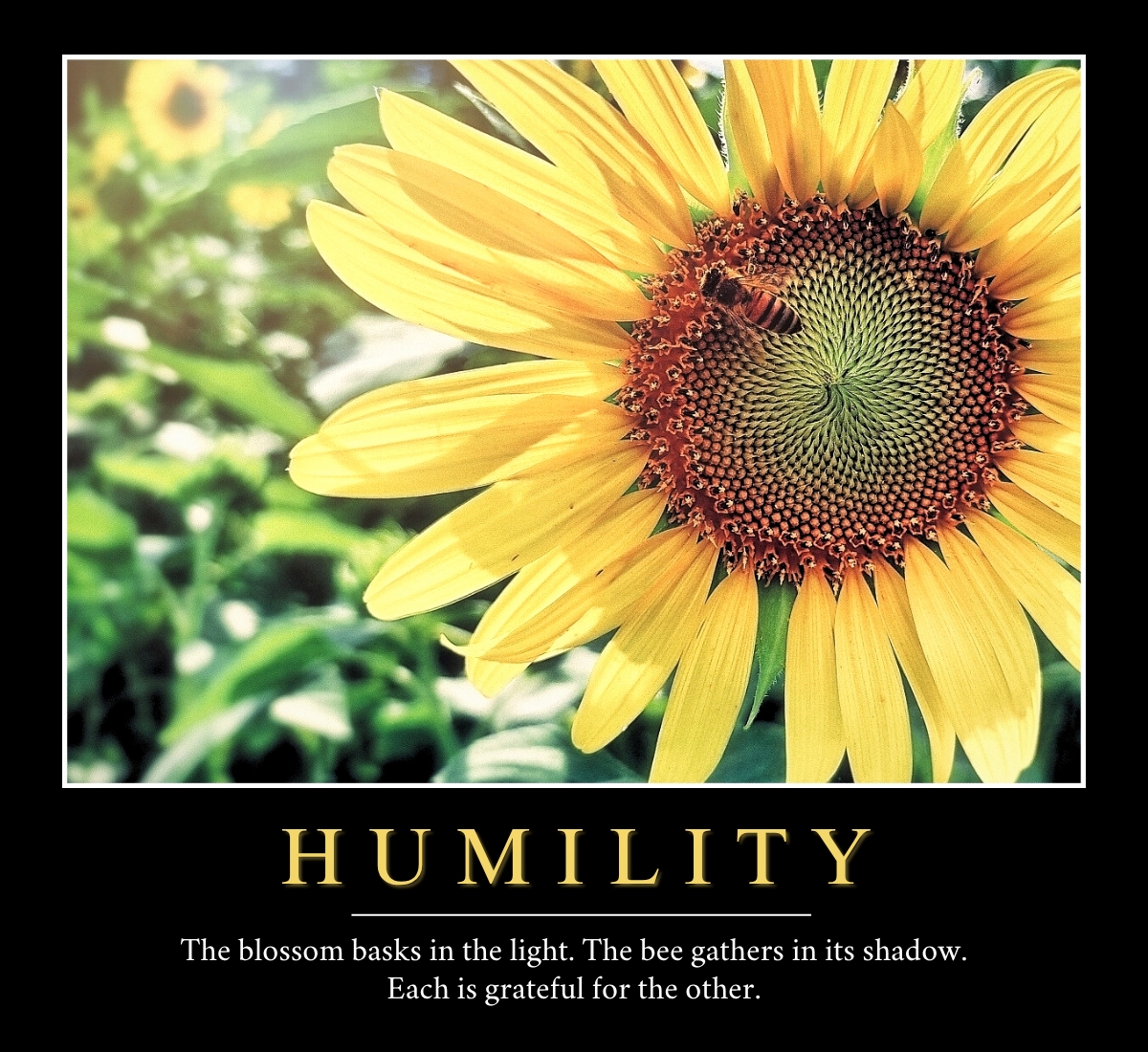HUMILITY