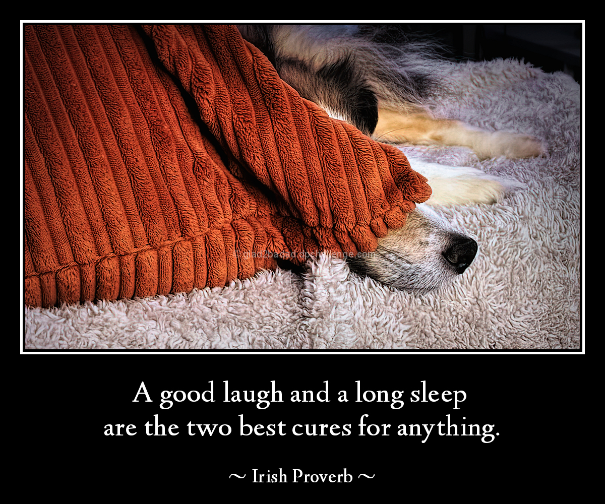 A good laugh and a long sleep are the two best cures for anything.