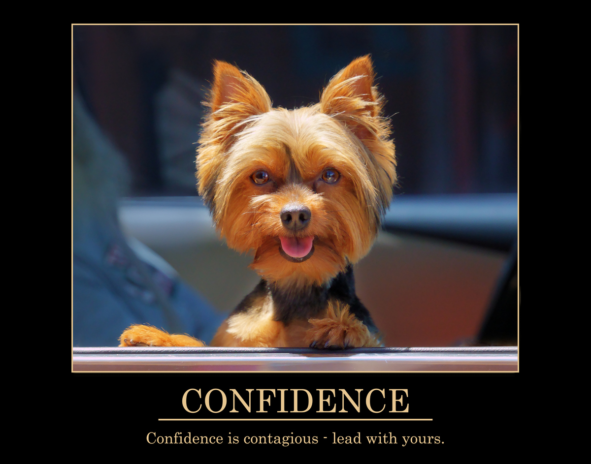 Confidence