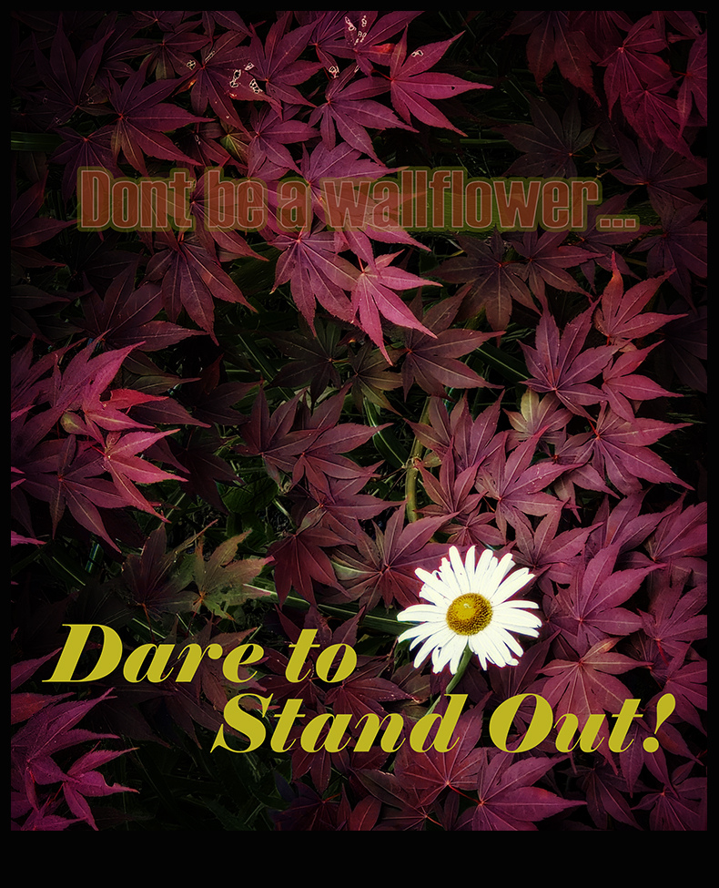 Don't Be a Wallflower...
