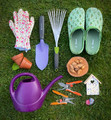 garden box content