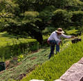 Horticulturist 