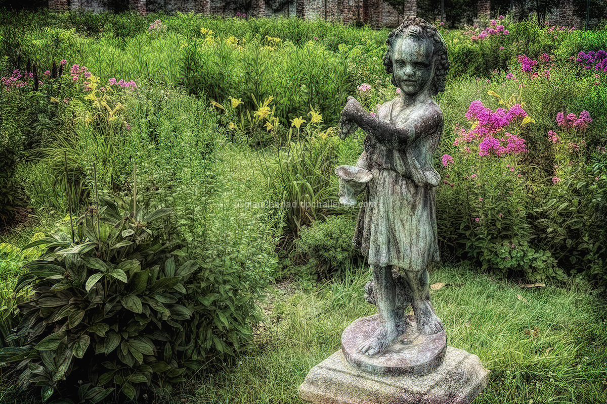 Neglected Old Estate Garden